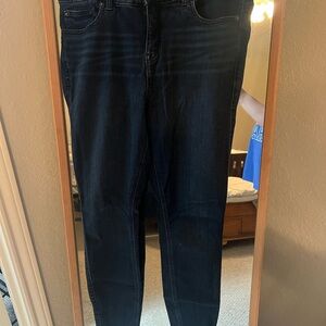 Torrid Dark Indigo Women's Skinny Jeans